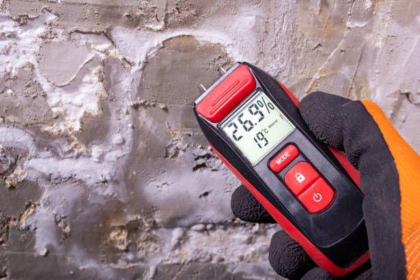 Office Mold Removal Services in Fort Lupton, CO
