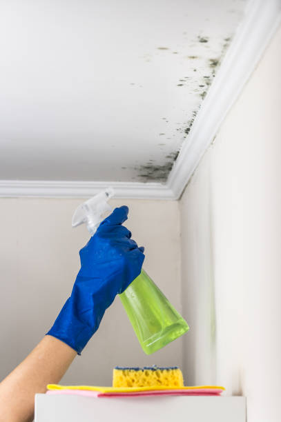 Best Certified Mold Removal  in Fort Lupton, CO